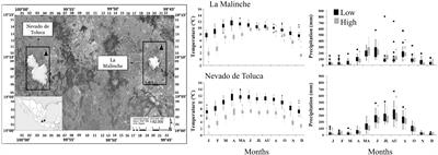 Phenotypic plasticity of growth ring traits in Pinus hartwegii at the ends of its elevational gradient